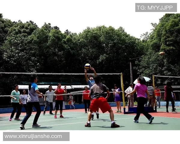 专访杨敏:探寻排球背后的成功秘诀与奋斗历程 专访杨敏:探寻排球背后的成功秘诀与奋斗历程